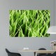 Artificial Grass Wall Mural