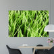 Artificial Grass Wall Mural