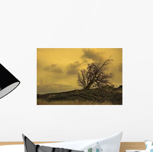 Dry Land Wall Decal