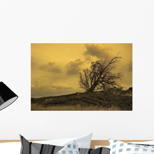 Dry Land Wall Decal