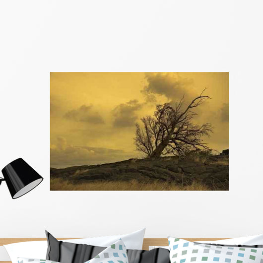 Dry Land Wall Decal