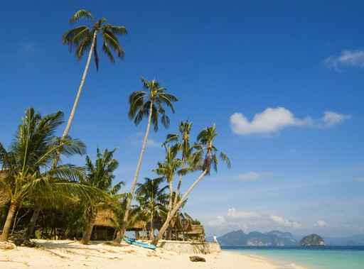 Beach Wall Decal Design 6