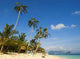 Beach Wall Decal Design 6