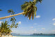 Beach Wall Decal Design 5