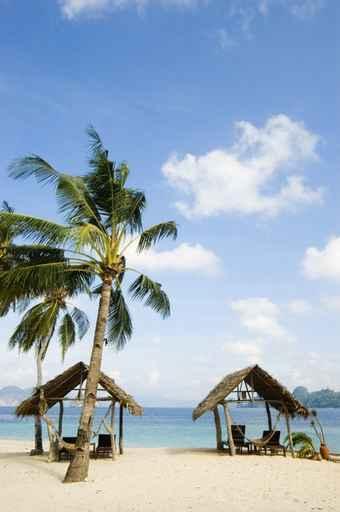 Beach Wall Decal Design 3