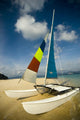 Hobie Cat Wall Mural