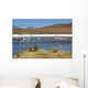 Flamingos Wall Decal