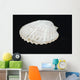 Shell Wall Mural