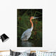 Goliath Heron Ardea Goliath Wall Mural