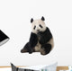 Giant Panda Wall Decal