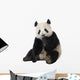 Giant Panda Wall Decal
