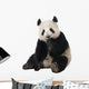 Giant Panda Wall Decal