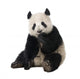 Giant Panda Wall Decal