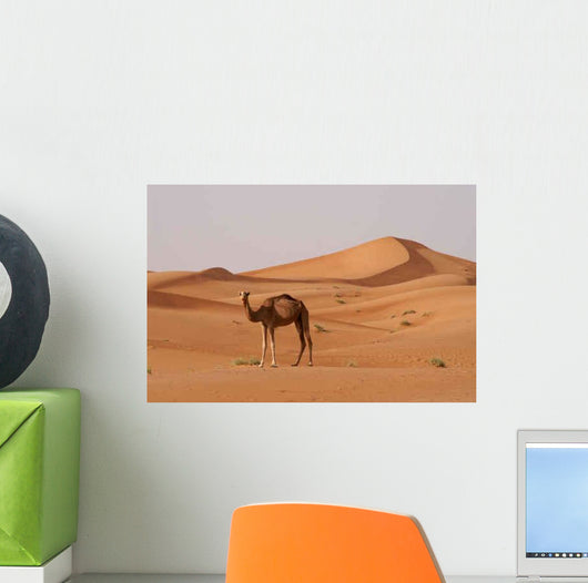 Kamel Wall Decal