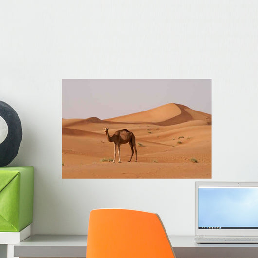 Kamel Wall Decal