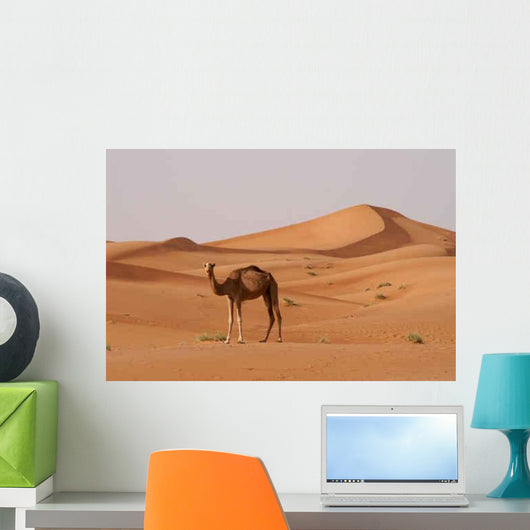 Kamel Wall Decal