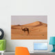 Kamel Wall Decal