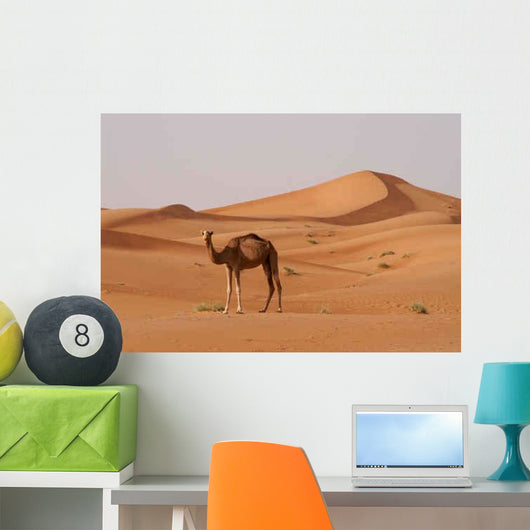 Kamel Wall Decal