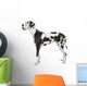 harlequin Great Dane (4 years) Wall Decal