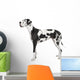 harlequin Great Dane (4 years) Wall Decal