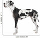 harlequin Great Dane (4 years) Wall Decal