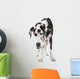 Harlequin Great Dane 4 Wall Decal