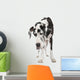 Harlequin Great Dane 4 Years Wall Decal