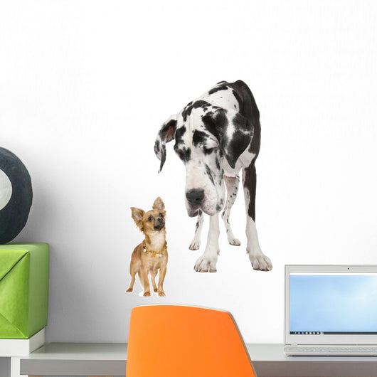 Great Dane Wall Decal