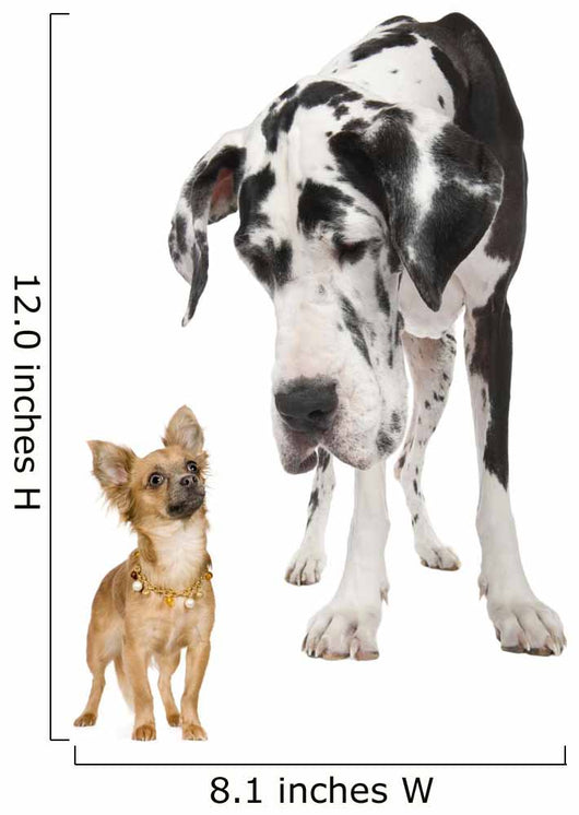 Great Dane Wall Decal