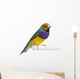 Gouldian Finch - Erythrura gouldiae Wall Decal