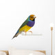 Gouldian Finch - Erythrura gouldiae Wall Decal