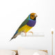 Gouldian Finch - Erythrura gouldiae Wall Decal