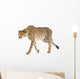 Cheetah - Acinonyx Jubatus Wall Decal