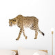 Cheetah - Acinonyx Jubatus Wall Decal