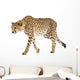 Cheetah - Acinonyx Jubatus Wall Decal