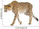 Cheetah - Acinonyx Jubatus Wall Decal