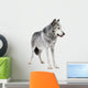 Mackenzie Valley Wolf (8 years) - Canis lupus occidentalis Wall Decal