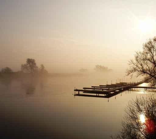 Jetty Wall Decal