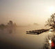 Jetty Wall Decal