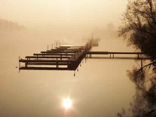 Steg im Nebel Wall Decal