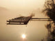 Steg im Nebel Wall Decal