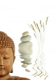 Zen Garden Wall Decal