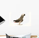 Exotic African Grey Parrot Wall Decal