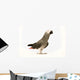 Exotic African Grey Parrot Wall Decal