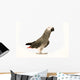 Exotic African Grey Parrot Wall Decal