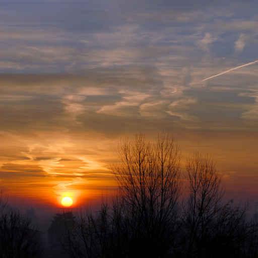 Winter Sunrise Wall Decal