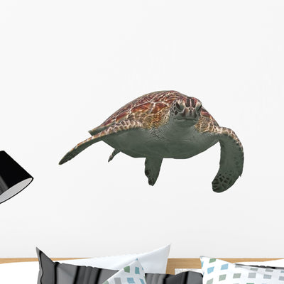 Green Sea Turtle Wall Decal shown on a wall