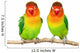 Pair of lovebirds Wall Decal