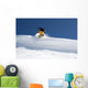 snowboarder im sprung Wall Mural