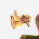 Ear anatomy Wall Decal